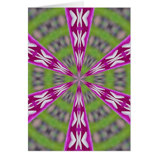 Dahlia Kaliediscope (Voorkant)