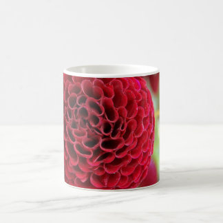 Dahlia Koffiemok