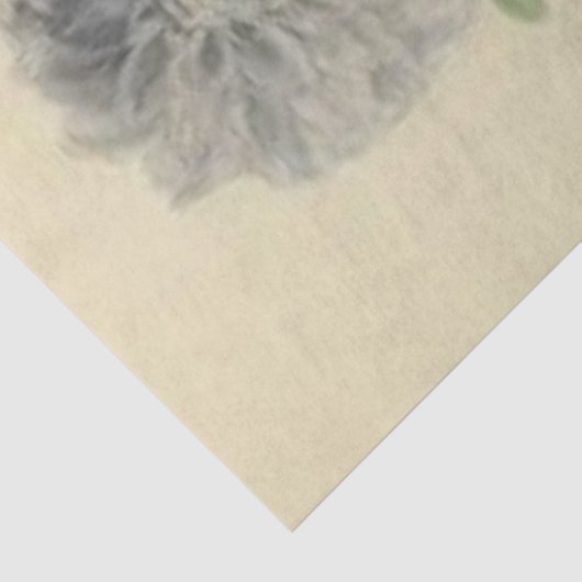 Dahlia Lady Floral ontkoppelen papier  (Detail)