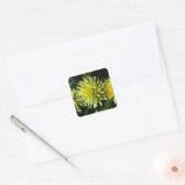 Dahlia Lakeview Glow #1-2 Stickers (Envelop)