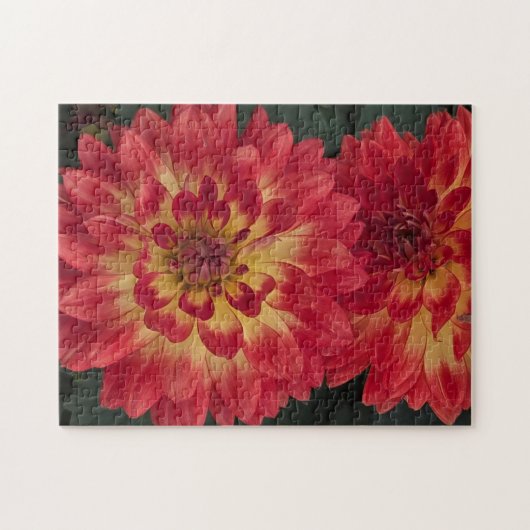 Dahlia Legpuzzel (Horizontaal)