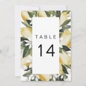 DAHLIA Lemon Citrus Garden Fruit Table Number Kaart (Voorkant)