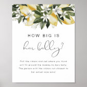 DAHLIA Lemon Hoe groot haar Belly Baby shower Post Poster (Voorkant)