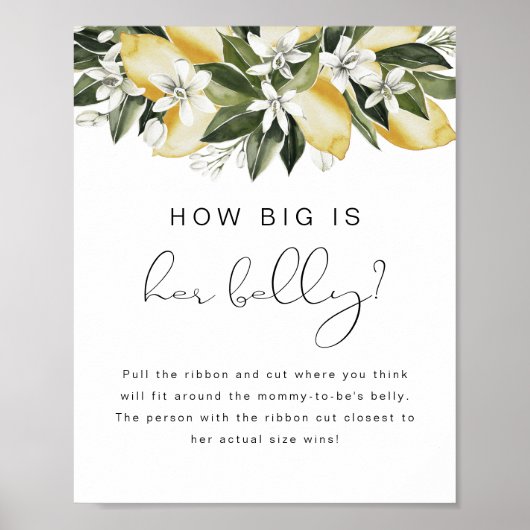 DAHLIA Lemon Hoe groot haar Belly Baby shower Post Poster (Voorkant)