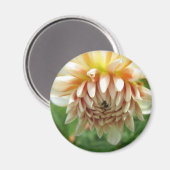 Dahlia Magneet (Voorkant / Achterkant)