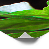 Dahlia met ecclesiastes verses poster (Hoek)