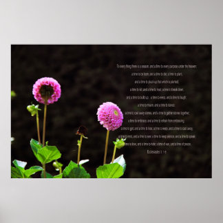 Dahlia met ecclesiastes verses poster