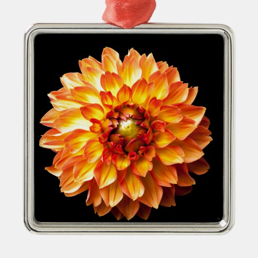 Dahlia Metalen Ornament (Voorkant)