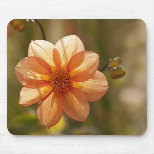 Dahlia Mousepad Muismat (Voorkant)