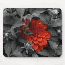 Dahlia-mousepad