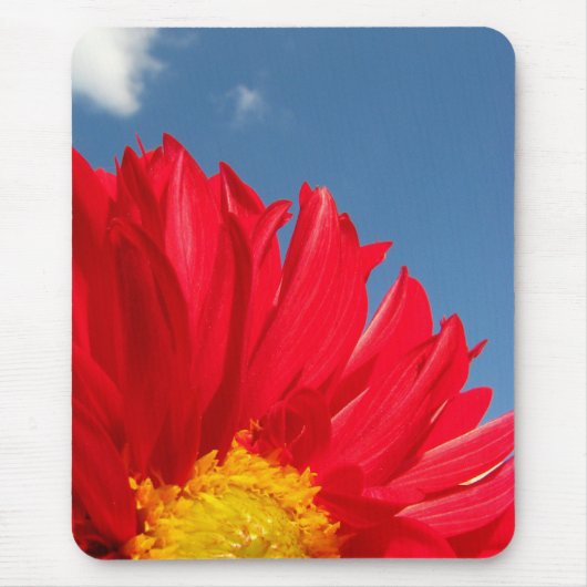 dahlia muismat (Voorkant)