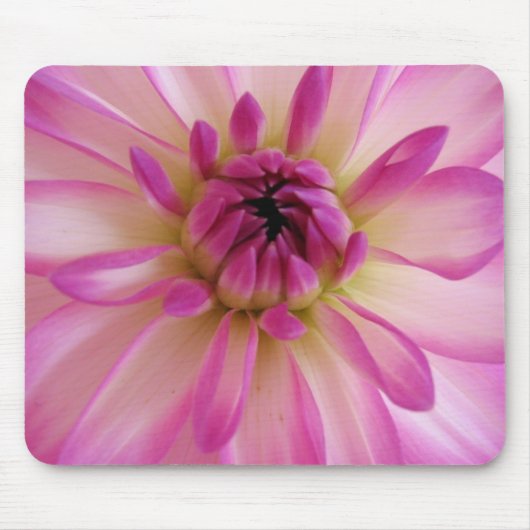 Dahlia Muismat (Voorkant)