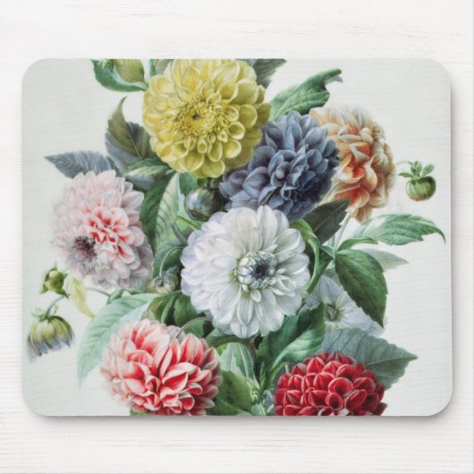 Dahlia Muismat (Voorkant)