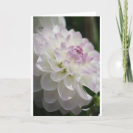 Dahlia Note Card Kaart