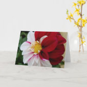 Dahlia Notecards Kaart (Gele Bloem)