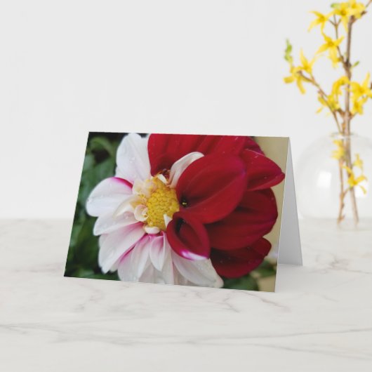 Dahlia Notecards Kaart (Gele Bloem)
