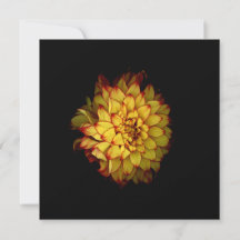 Dahlia Notitiekaarten en Wenskaarten