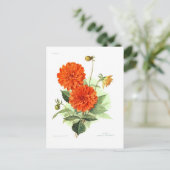 Dahlia "Oranje brandweerkoning" Briefkaart (Staand voorkant)