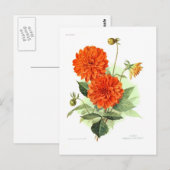 Dahlia "Oranje brandweerkoning" Briefkaart (Voorkant / Achterkant)