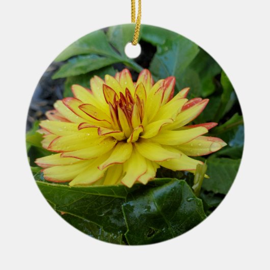 Dahlia ornament (Voorkant)