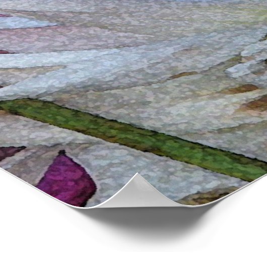 Dahlia Petals Poster (Hoek)