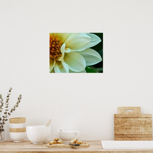 Dahlia Petals Poster (Keuken)
