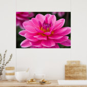 Dahlia Poster (Keuken)