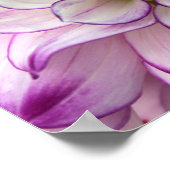 dahlia poster (Hoek)