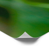 Dahlia Poster (Hoek)