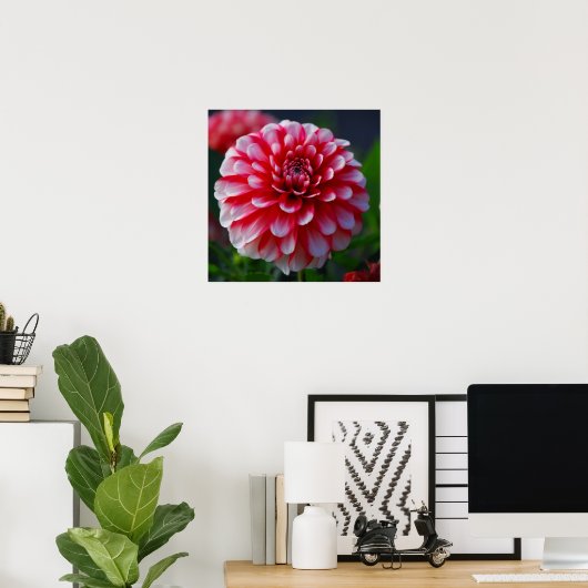 Dahlia Poster (Thuiskantoor)