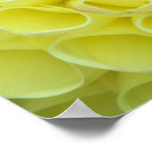 Dahlia Poster (Hoek)