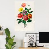 Dahlia Poster (Thuiskantoor)