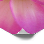 Dahlia Poster (Hoek)