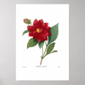 Dahlia Poster (Voorkant)