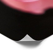 Dahlia Poster (Hoek)