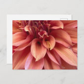 Dahlia-postkaart Briefkaart (Voorkant / Achterkant)