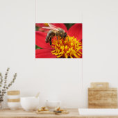Dahlia (rood) poster (Keuken)