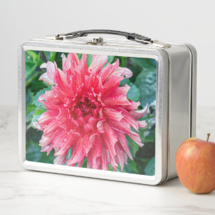 Dahlia Roze Canadese Bloem Fotografie
