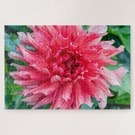 Dahlia Roze Canadese Bloem Fotografie Legpuzzel