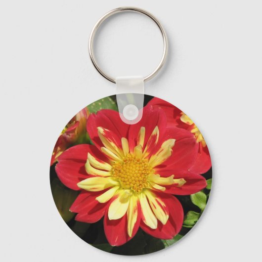 Dahlia Scarlet Sleutelhanger (Voorkant)