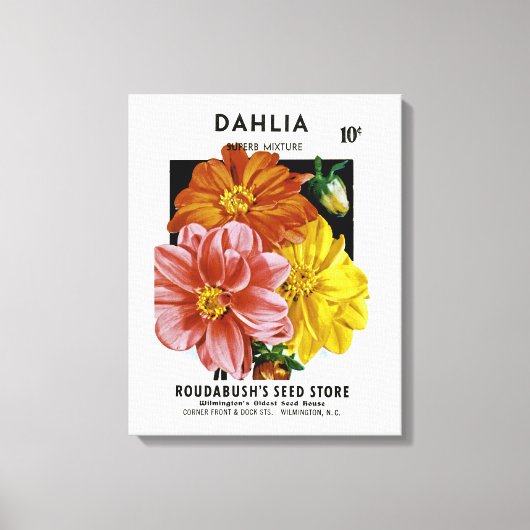 Dahlia Seed Packet Canvas Afdruk (Voorkant)