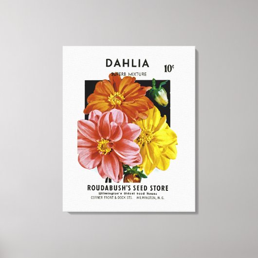 Dahlia Seed Packet Canvas Afdruk (Voorkant)