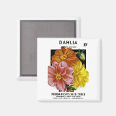 Dahlia  Seed Packet Magneet (Voorkant / Achterkant)