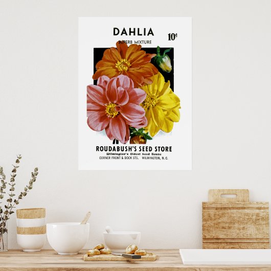 Dahlia  Seed Packet Poster (Keuken)