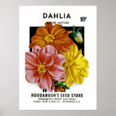Dahlia Seed Packet Poster (Voorkant)