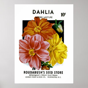 Dahlia Seed Packet Poster