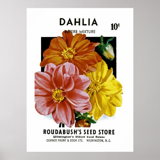 Dahlia  Seed Packet Poster (Voorkant)