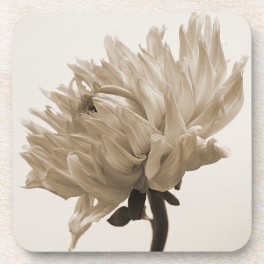dahlia sepia print bier onderzetter (Voorkant)