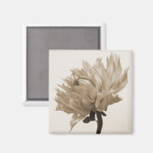dahlia sepia print magneet (Voorkant / Achterkant)