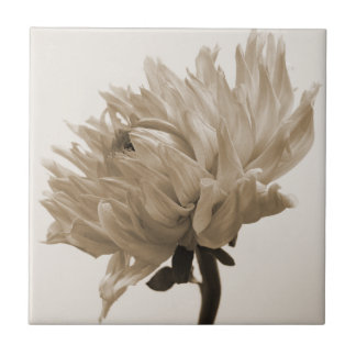 dahlia sepia print tegeltje
